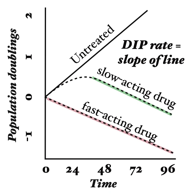 Hypothetical growth curves (in log scale) for a cell line untreated and treated with two different drugs. Also shown is drug-induced proliferation (DIP) rate, defined as the slope of the line after the drug effect has stabilized.
